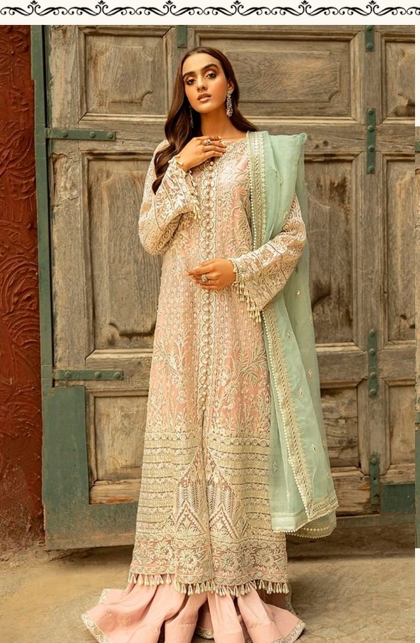 ramsha d no 227 nx net graceful look salwar suit catalog