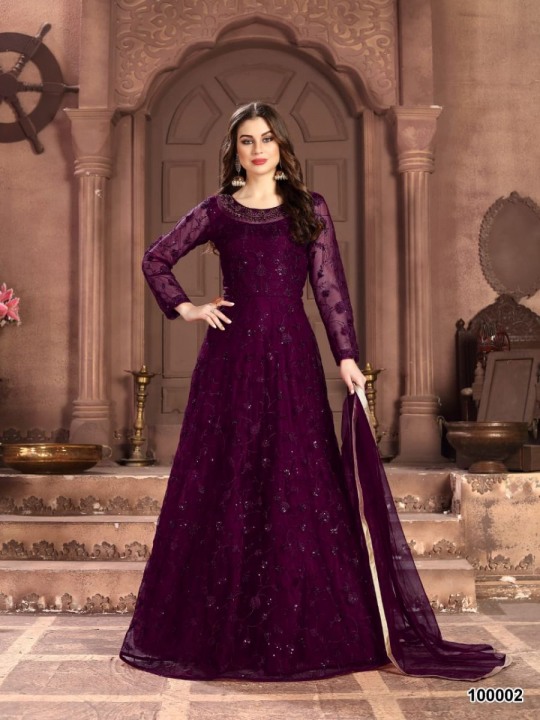 dani Aanaya Vol 100 D.No. 100002 Salwar Kameez Net Singles