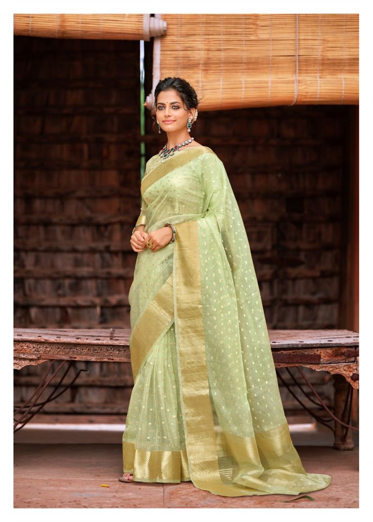 lt kashvi creation ardhangini tissue catchy look saree catalog