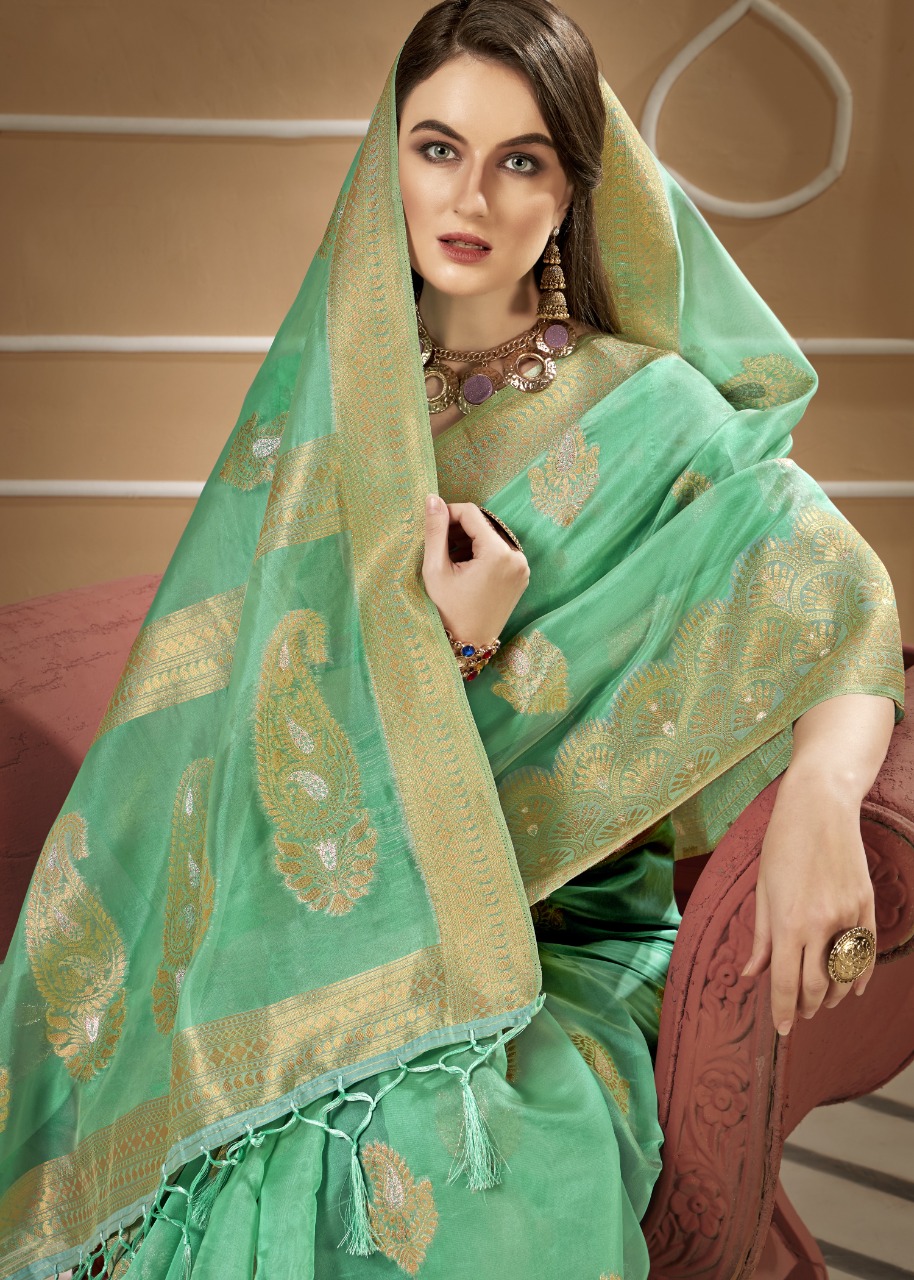 shakunt weaves SKS ORG 550 organza graceful saree catalog