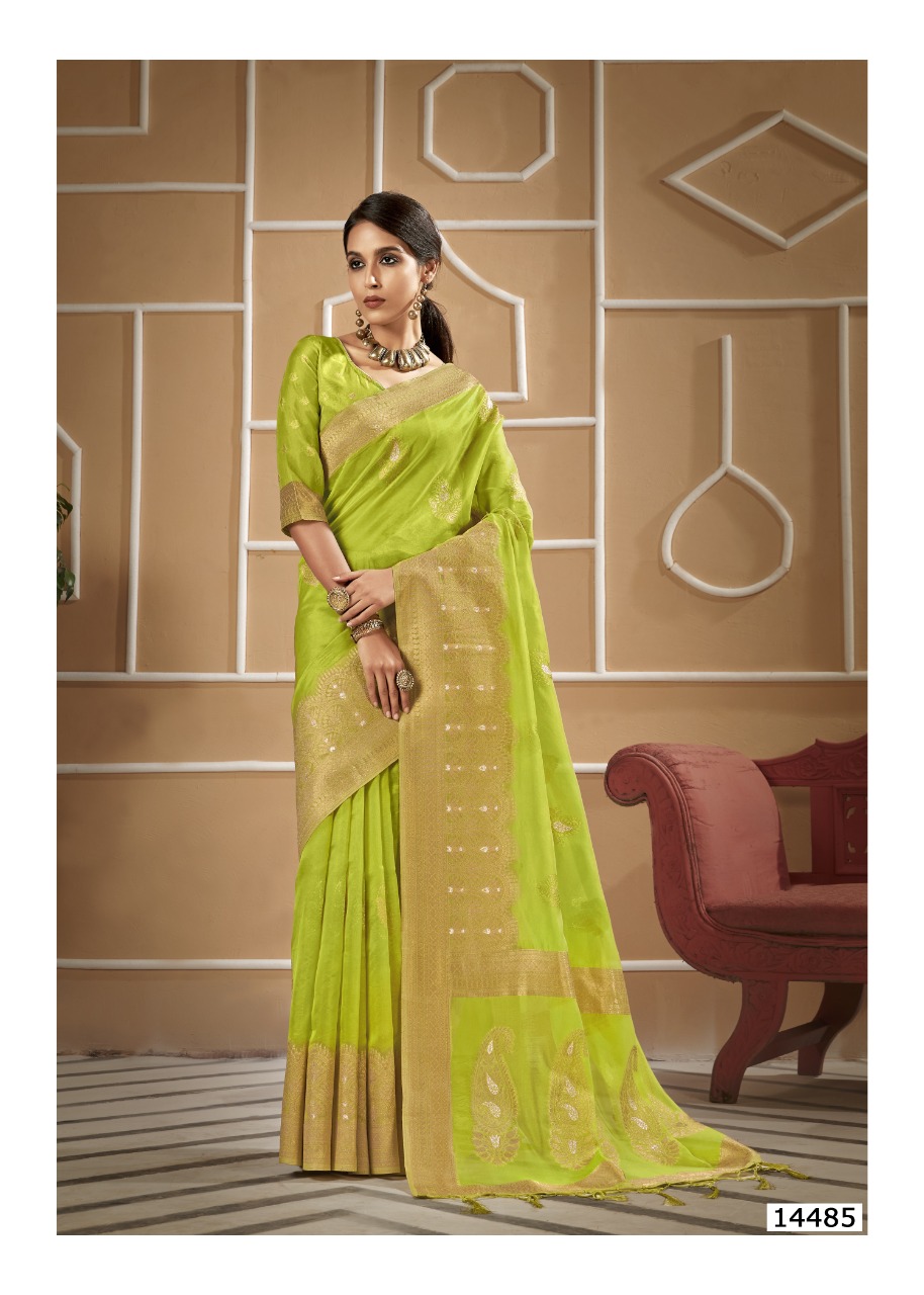 shakunt weaves SKS ORG 550 organza graceful saree catalog