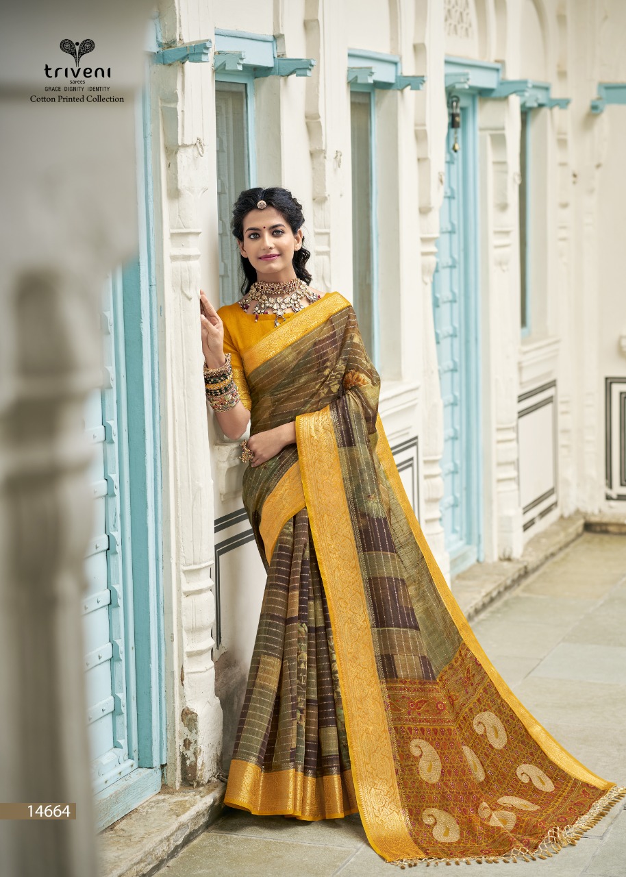 triveni dwarika cotton exclusive print saree catalog