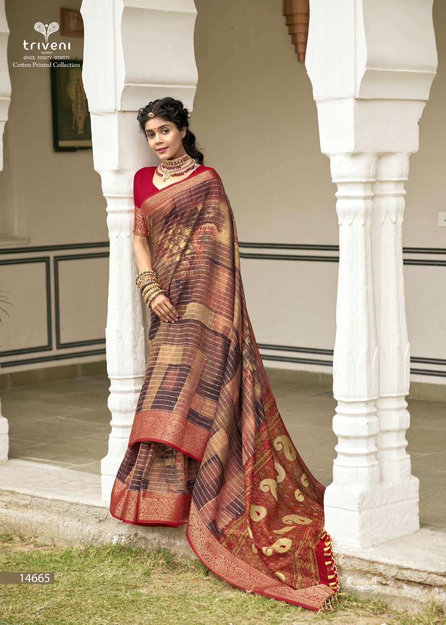 triveni dwarika cotton exclusive print saree catalog