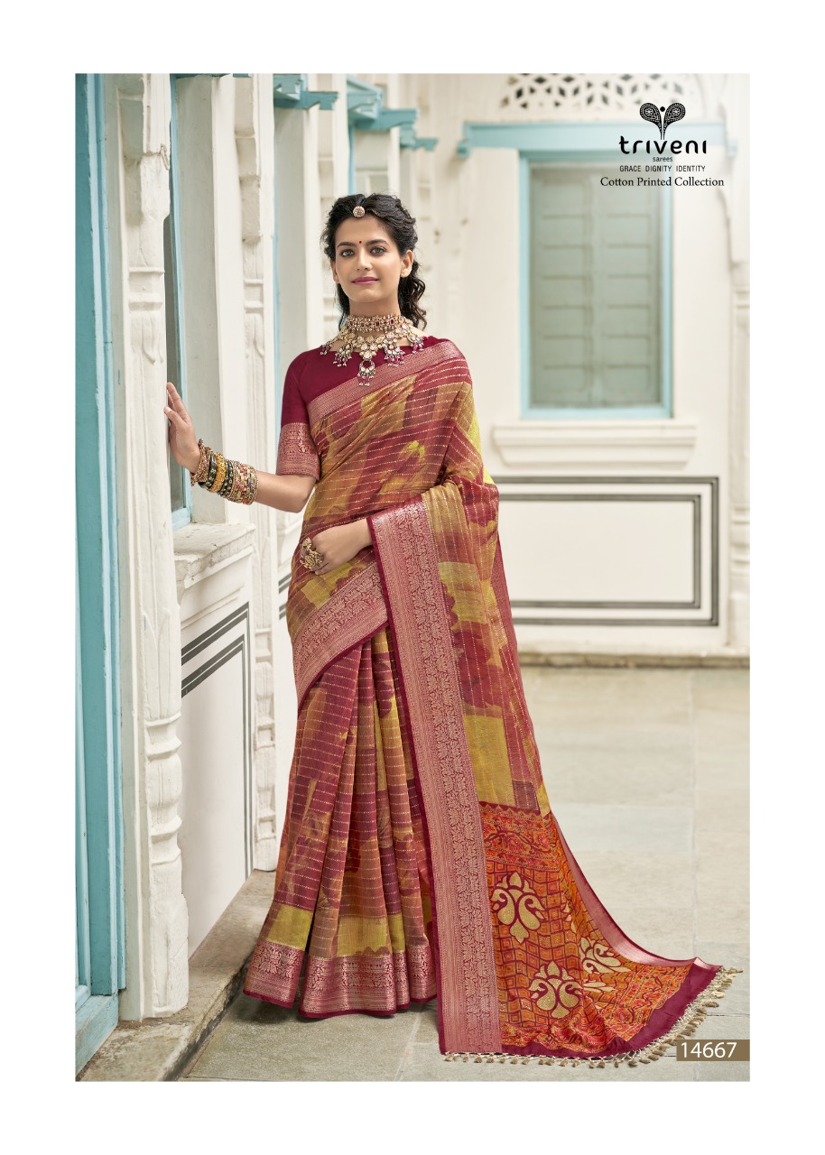 triveni dwarika cotton exclusive print saree catalog