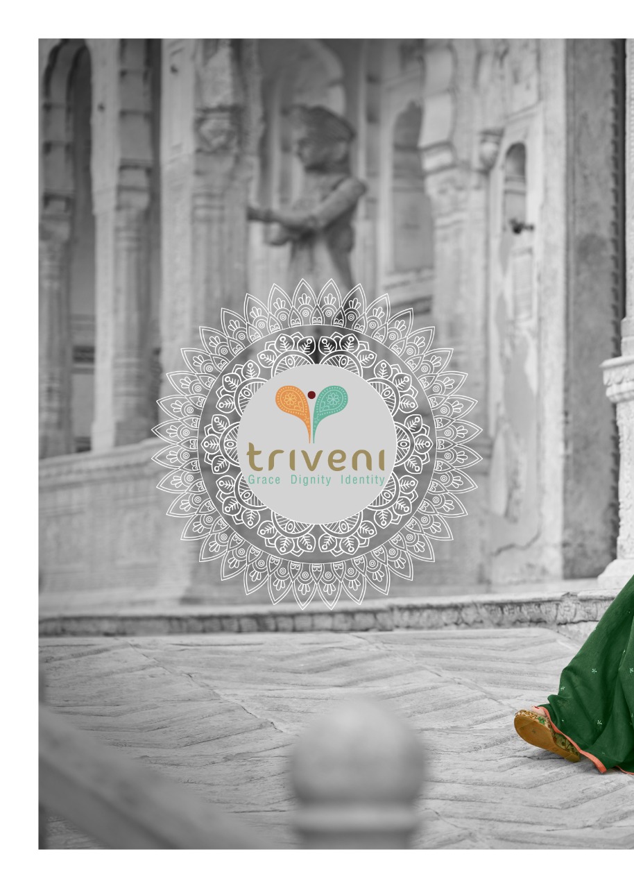 triveni lipika cotton decent embroidary look saree catalog