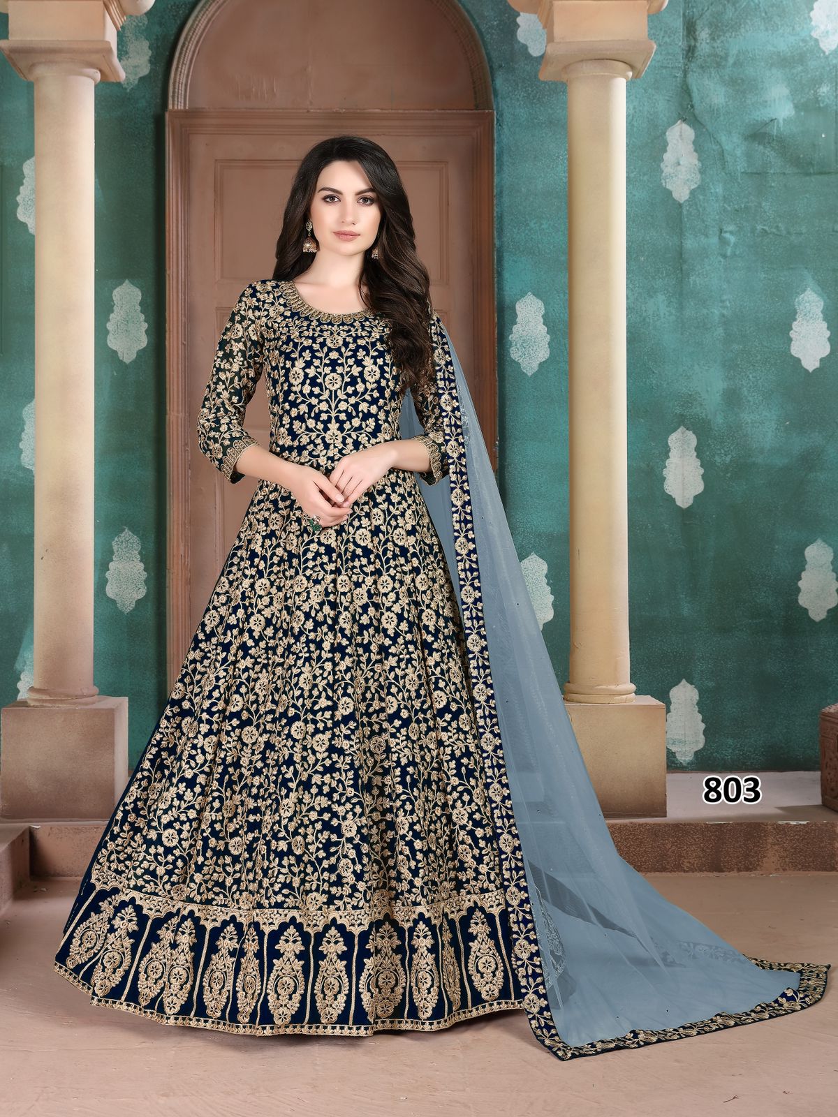 dani aanaya 800 series vol 108 georgette Regal look salwar suit catalog