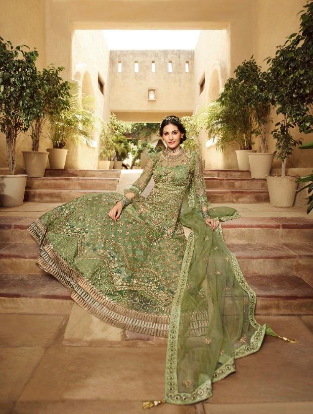 glossy amyra shaivi net gorgeous look salwar suit catalog