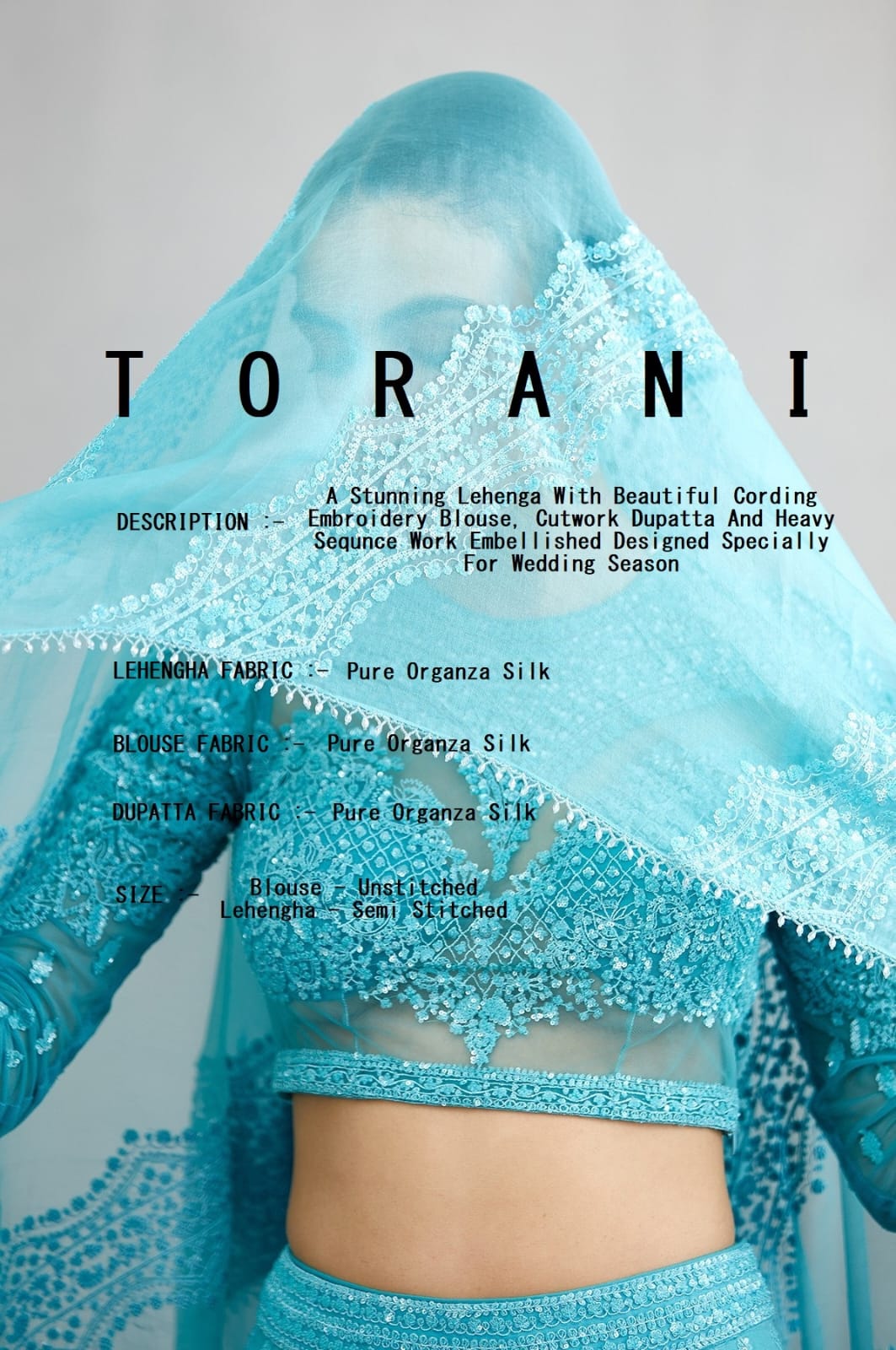 virasat torani 1001 1002 organza elegant look lehngha catalog